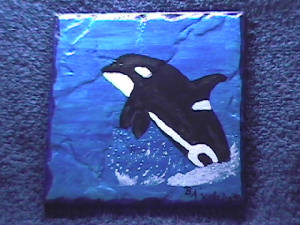 orca1.jpg